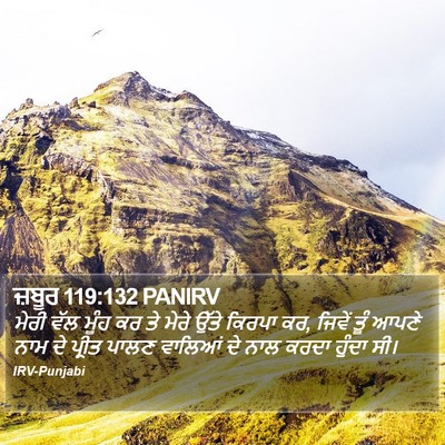 ਜ਼ਬੂਰ 119:132 PANIRV Bible Verse Image