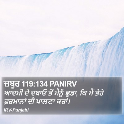 ਜ਼ਬੂਰ 119:134 PANIRV Bible Verse Image