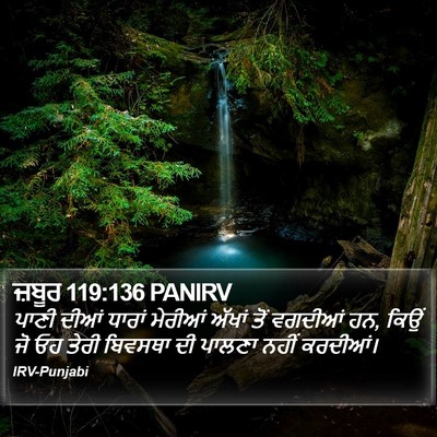 ਜ਼ਬੂਰ 119:136 PANIRV Bible Verse Image