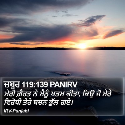 ਜ਼ਬੂਰ 119:139 PANIRV Bible Verse Image