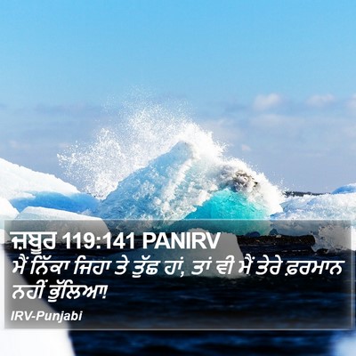 ਜ਼ਬੂਰ 119:141 PANIRV Bible Verse Image