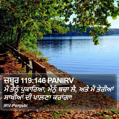 ਜ਼ਬੂਰ 119:146 PANIRV Bible Verse Image