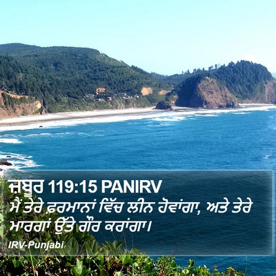 ਜ਼ਬੂਰ 119:15 PANIRV Bible Verse Image