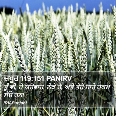 ਜ਼ਬੂਰ 119:151 PANIRV Bible Verse Image