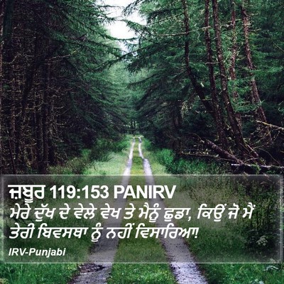 ਜ਼ਬੂਰ 119:153 PANIRV Bible Verse Image