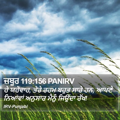 ਜ਼ਬੂਰ 119:156 PANIRV Bible Verse Image