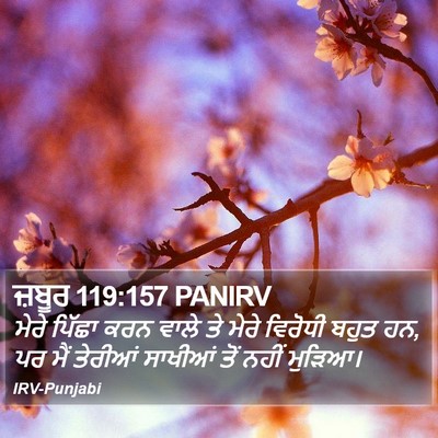 ਜ਼ਬੂਰ 119:157 PANIRV Bible Verse Image
