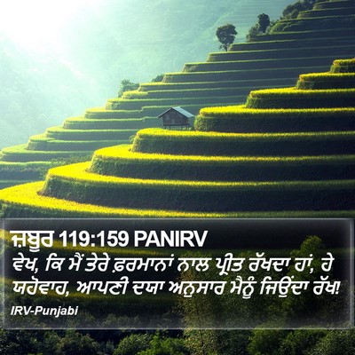 ਜ਼ਬੂਰ 119:159 PANIRV Bible Verse Image