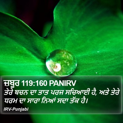 ਜ਼ਬੂਰ 119:160 PANIRV Bible Verse Image
