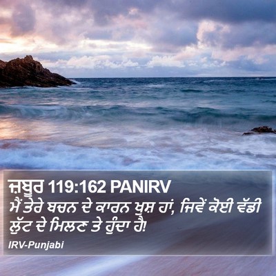 ਜ਼ਬੂਰ 119:162 PANIRV Bible Verse Image