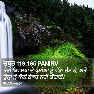 ਜ਼ਬੂਰ 119:165 PANIRV Bible Verse Image