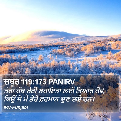 ਜ਼ਬੂਰ 119:173 PANIRV Bible Verse Image