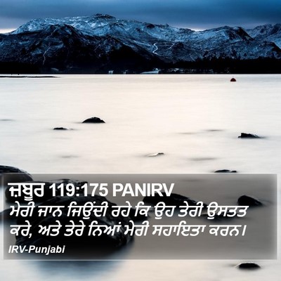 ਜ਼ਬੂਰ 119:175 PANIRV Bible Verse Image