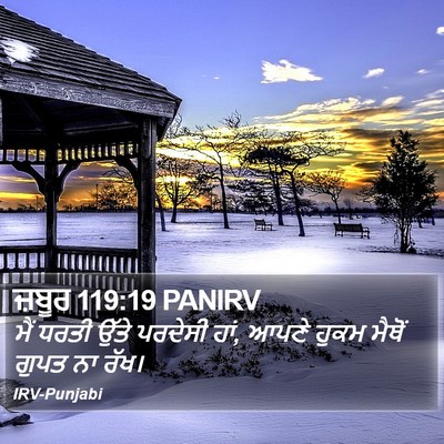 ਜ਼ਬੂਰ 119:19 PANIRV Bible Verse Image