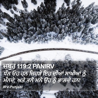ਜ਼ਬੂਰ 119:2 PANIRV Bible Verse Image