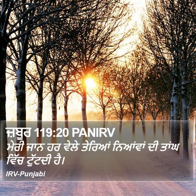 ਜ਼ਬੂਰ 119:20 PANIRV Bible Verse Image