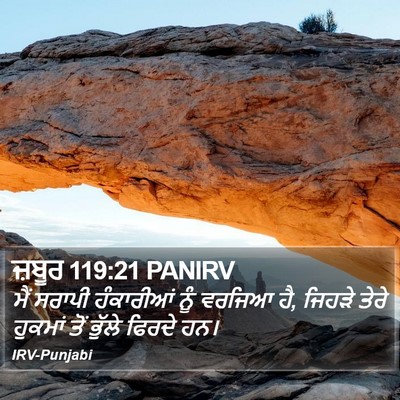 ਜ਼ਬੂਰ 119:21 PANIRV Bible Verse Image