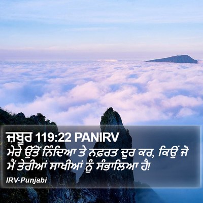 ਜ਼ਬੂਰ 119:22 PANIRV Bible Verse Image