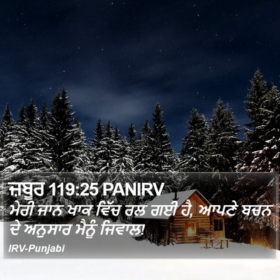 ਜ਼ਬੂਰ 119:25 PANIRV Bible Verse Image