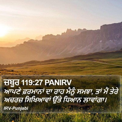 ਜ਼ਬੂਰ 119:27 PANIRV Bible Verse Image