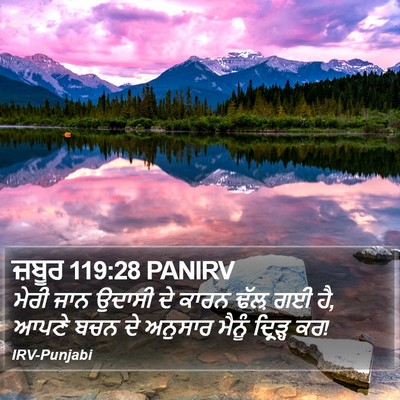 ਜ਼ਬੂਰ 119:28 PANIRV Bible Verse Image