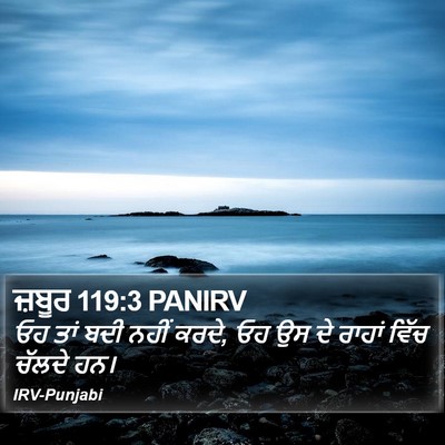 ਜ਼ਬੂਰ 119:3 PANIRV Bible Verse Image
