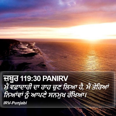 ਜ਼ਬੂਰ 119:30 PANIRV Bible Verse Image