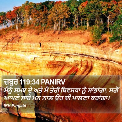 ਜ਼ਬੂਰ 119:34 PANIRV Bible Verse Image
