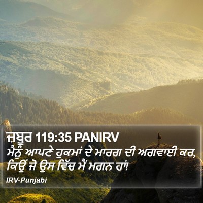 ਜ਼ਬੂਰ 119:35 PANIRV Bible Verse Image