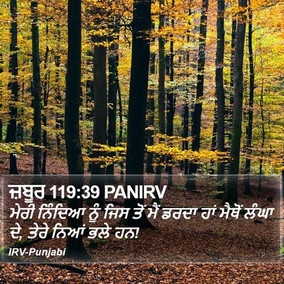 ਜ਼ਬੂਰ 119:39 PANIRV Bible Verse Image