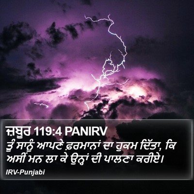 ਜ਼ਬੂਰ 119:4 PANIRV Bible Verse Image