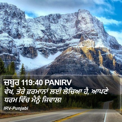 ਜ਼ਬੂਰ 119:40 PANIRV Bible Verse Image