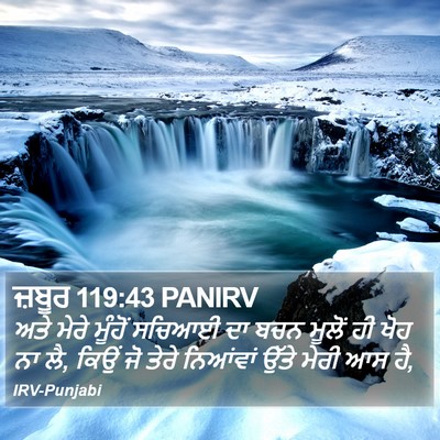 ਜ਼ਬੂਰ 119:43 PANIRV Bible Verse Image