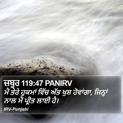 ਜ਼ਬੂਰ 119:47 PANIRV Bible Verse Image