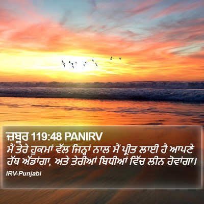 ਜ਼ਬੂਰ 119:48 PANIRV Bible Verse Image