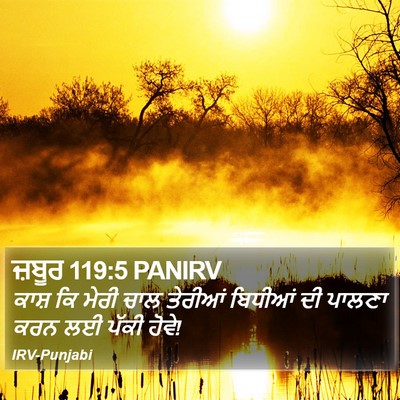 ਜ਼ਬੂਰ 119:5 PANIRV Bible Verse Image