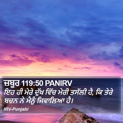 ਜ਼ਬੂਰ 119:50 PANIRV Bible Verse Image