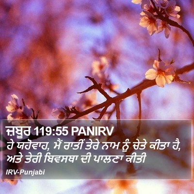 ਜ਼ਬੂਰ 119:55 PANIRV Bible Verse Image
