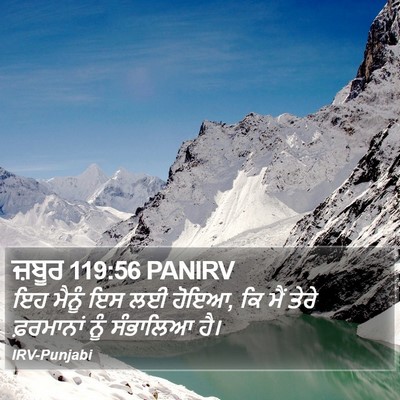 ਜ਼ਬੂਰ 119:56 PANIRV Bible Verse Image