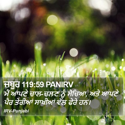 ਜ਼ਬੂਰ 119:59 PANIRV Bible Verse Image