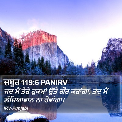 ਜ਼ਬੂਰ 119:6 PANIRV Bible Verse Image