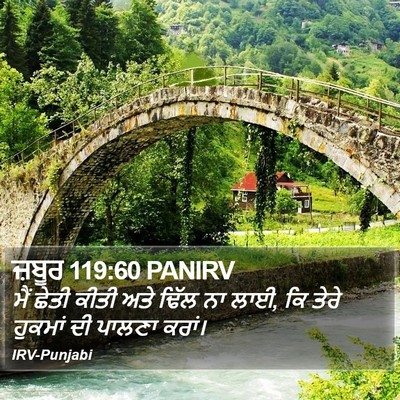 ਜ਼ਬੂਰ 119:60 PANIRV Bible Verse Image