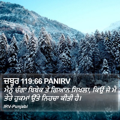 ਜ਼ਬੂਰ 119:66 PANIRV Bible Verse Image