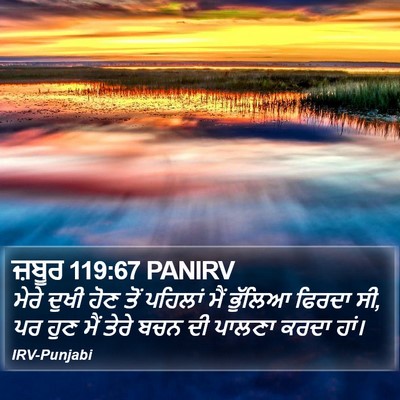 ਜ਼ਬੂਰ 119:67 PANIRV Bible Verse Image