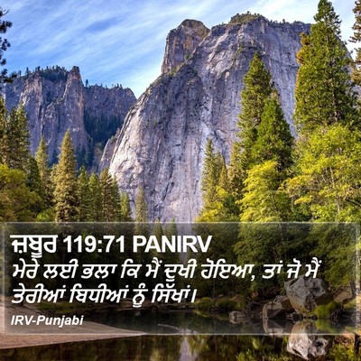 ਜ਼ਬੂਰ 119:71 PANIRV Bible Verse Image