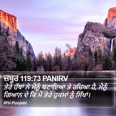 ਜ਼ਬੂਰ 119:73 PANIRV Bible Verse Image