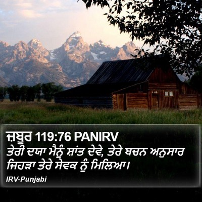 ਜ਼ਬੂਰ 119:76 PANIRV Bible Verse Image