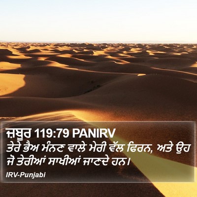ਜ਼ਬੂਰ 119:79 PANIRV Bible Verse Image