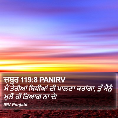 ਜ਼ਬੂਰ 119:8 PANIRV Bible Verse Image