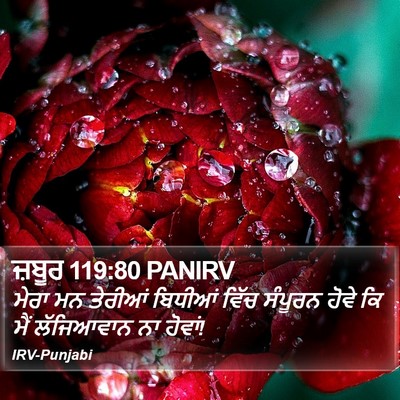 ਜ਼ਬੂਰ 119:80 PANIRV Bible Verse Image